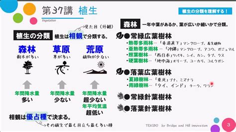 陽樹 陰樹 一覧 生物基礎|【生物基礎】第4章 植生の多様性と分布（光合成曲線・植生の遷。